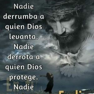 Meet your Posher, Rose